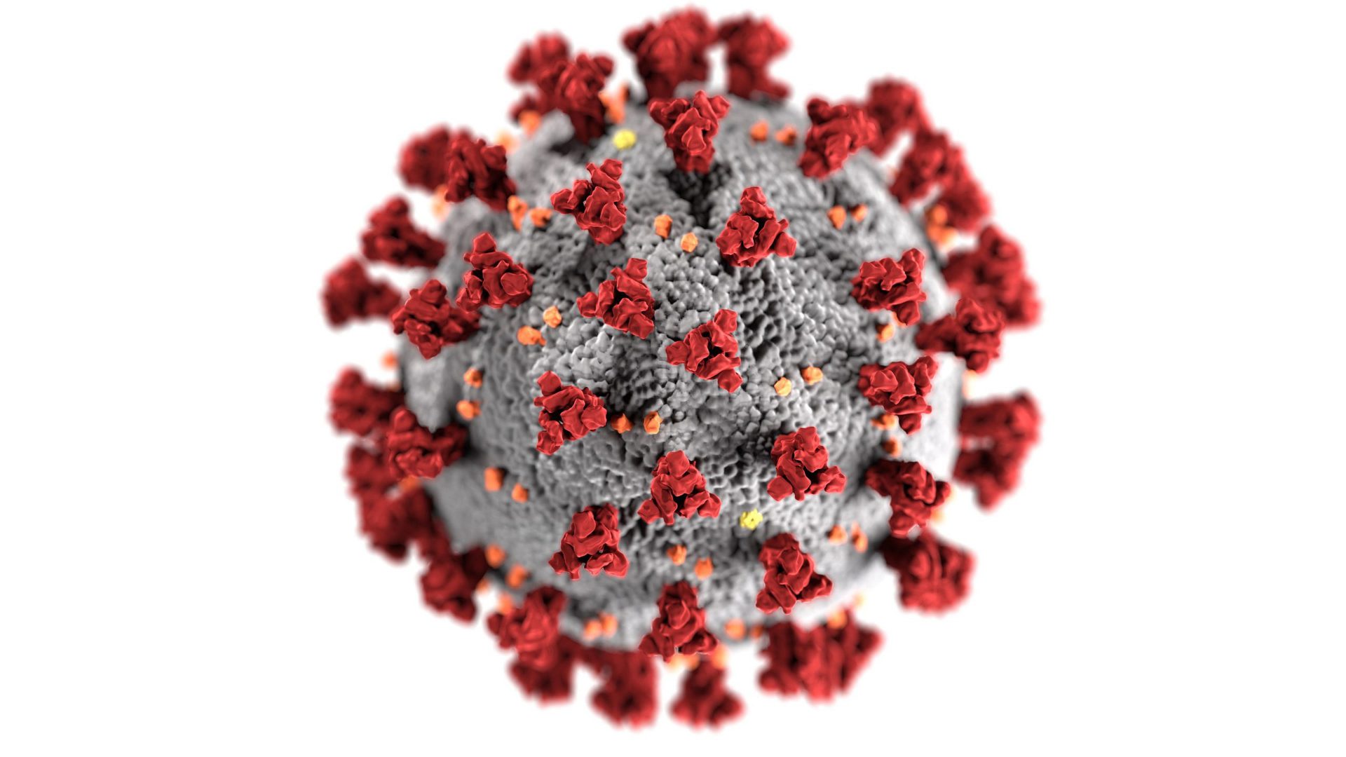 Coronavirus forces us to quickly adapt in uncertain times