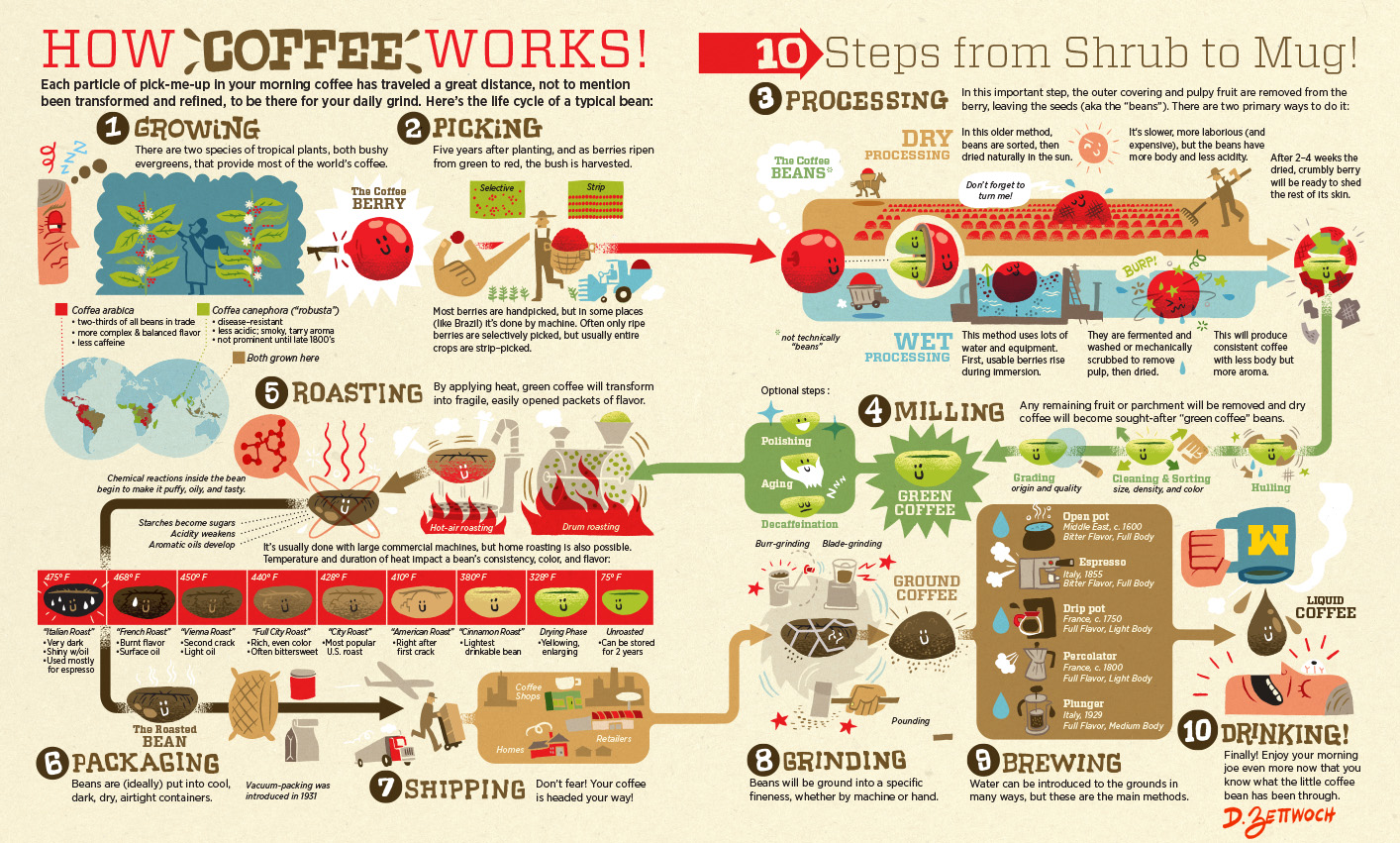 How coffee works