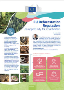 EU Deforestation Regulation - An Opportunity for Smallholders front page